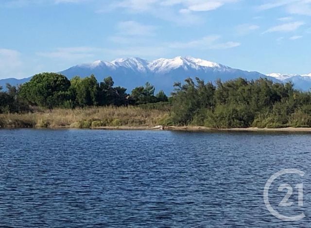 Appartement F2 bis à vendre - 2 pièces - 35.78 m2 - LEUCATE - 11 - LANGUEDOC-ROUSSILLON - Century 21 Côte Catalane Immobilier