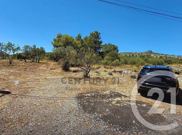 terrain à vendre - 7346.0 m2 - OPOUL PERILLOS - 66 - LANGUEDOC-ROUSSILLON - Century 21 Côte Catalane Immobilier