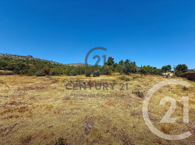 terrain à vendre - 7346.0 m2 - OPOUL PERILLOS - 66 - LANGUEDOC-ROUSSILLON - Century 21 Côte Catalane Immobilier