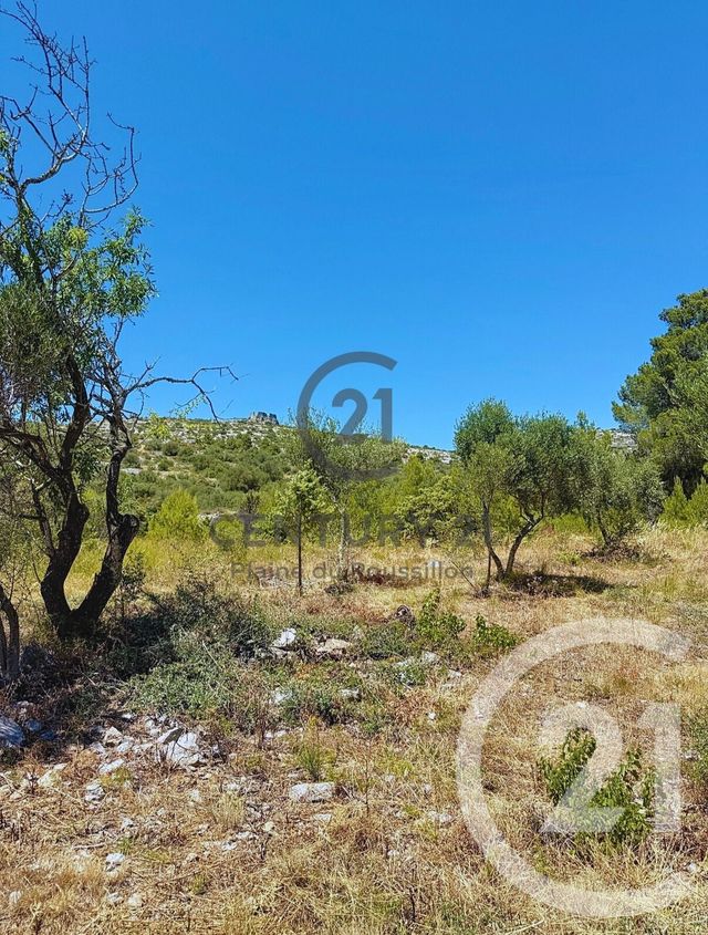 terrain à vendre - 7346.0 m2 - OPOUL PERILLOS - 66 - LANGUEDOC-ROUSSILLON - Century 21 Côte Catalane Immobilier