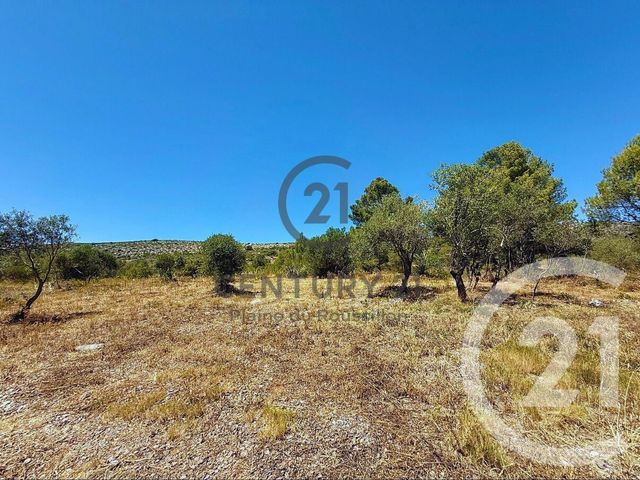 terrain à vendre - 7346.0 m2 - OPOUL PERILLOS - 66 - LANGUEDOC-ROUSSILLON - Century 21 Côte Catalane Immobilier