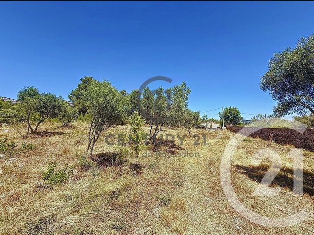 terrain à vendre - 7346.0 m2 - OPOUL PERILLOS - 66 - LANGUEDOC-ROUSSILLON - Century 21 Côte Catalane Immobilier