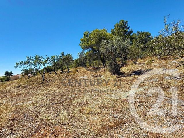 terrain à vendre - 7346.0 m2 - OPOUL PERILLOS - 66 - LANGUEDOC-ROUSSILLON - Century 21 Côte Catalane Immobilier